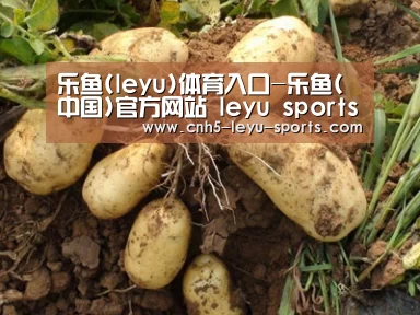 种植基地六