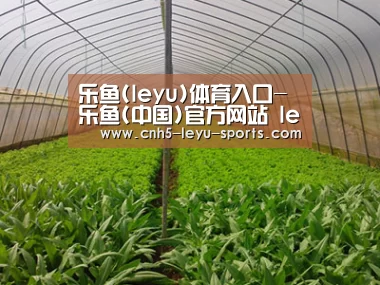 种植基地四