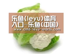 产品名称九