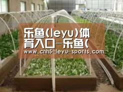 环境展示五