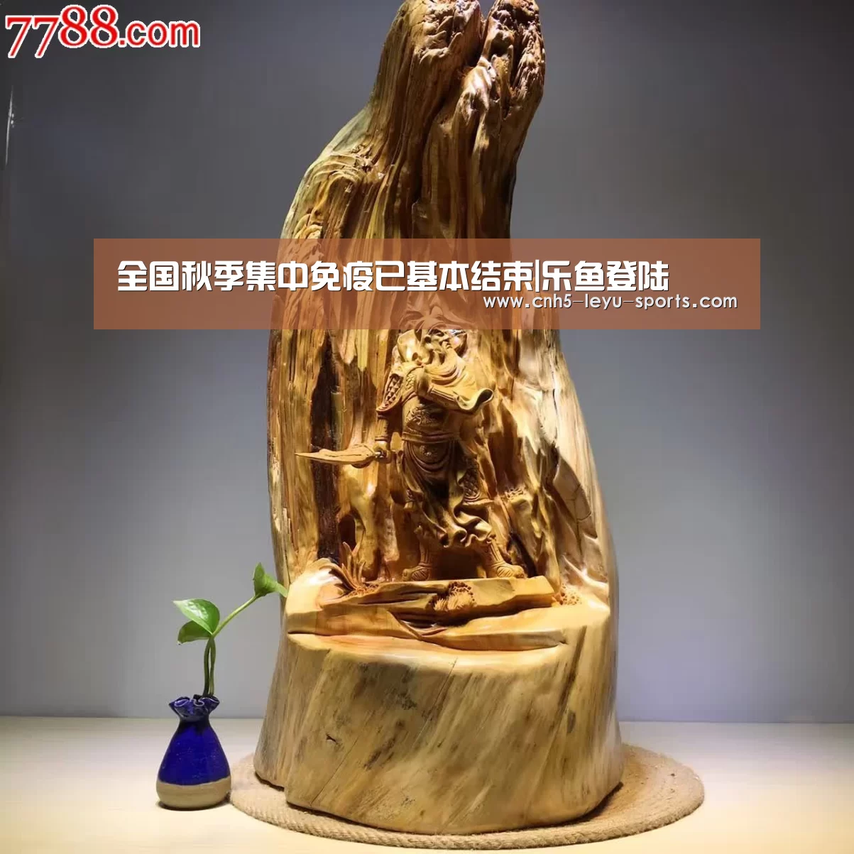乐鱼app