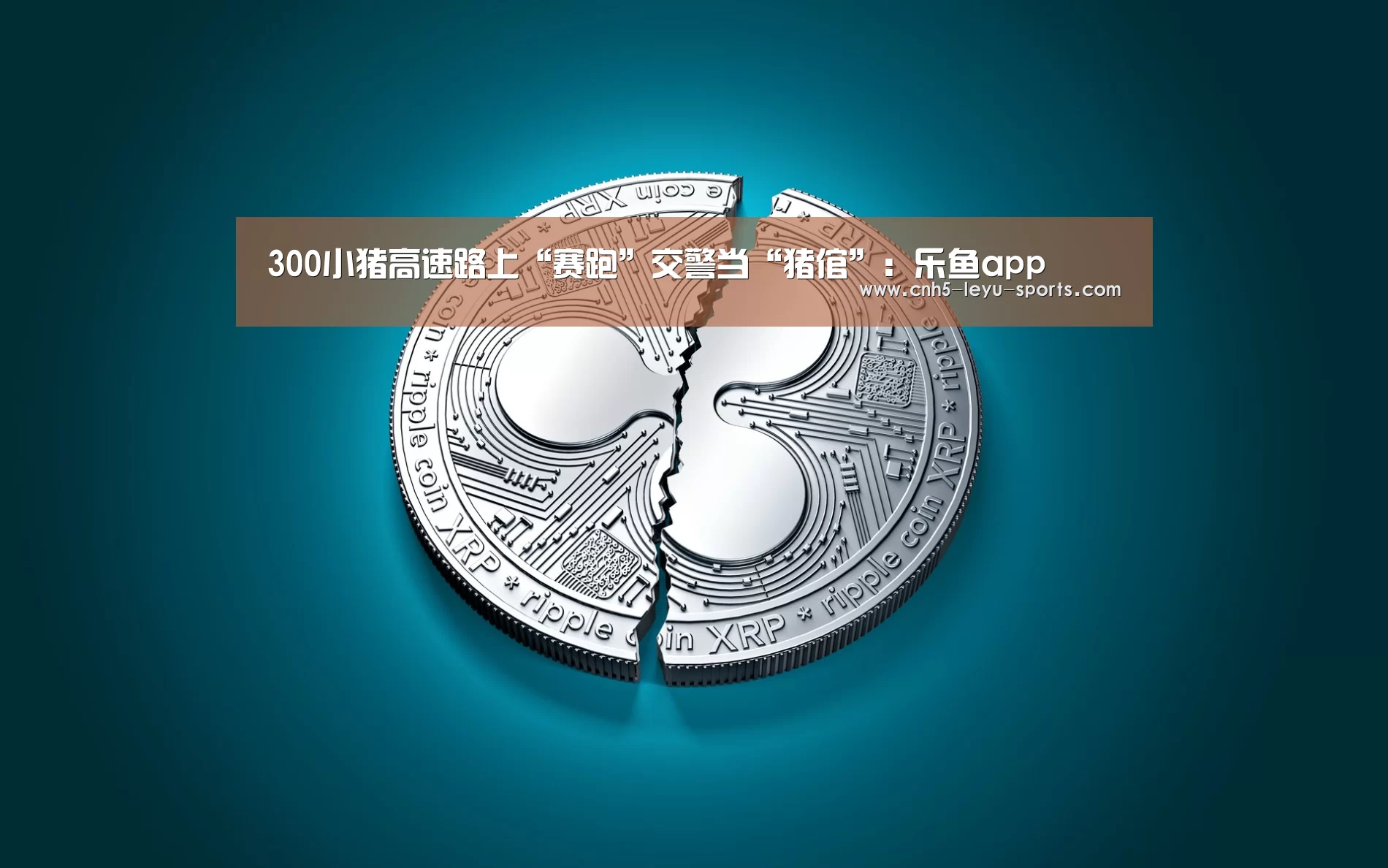 乐鱼体育
