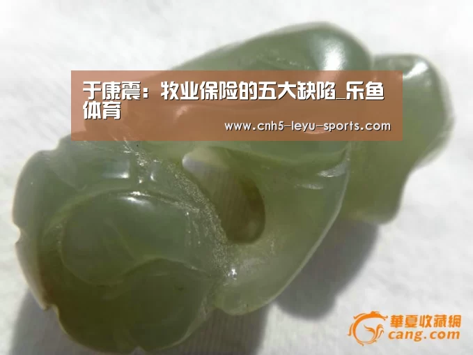 乐鱼app