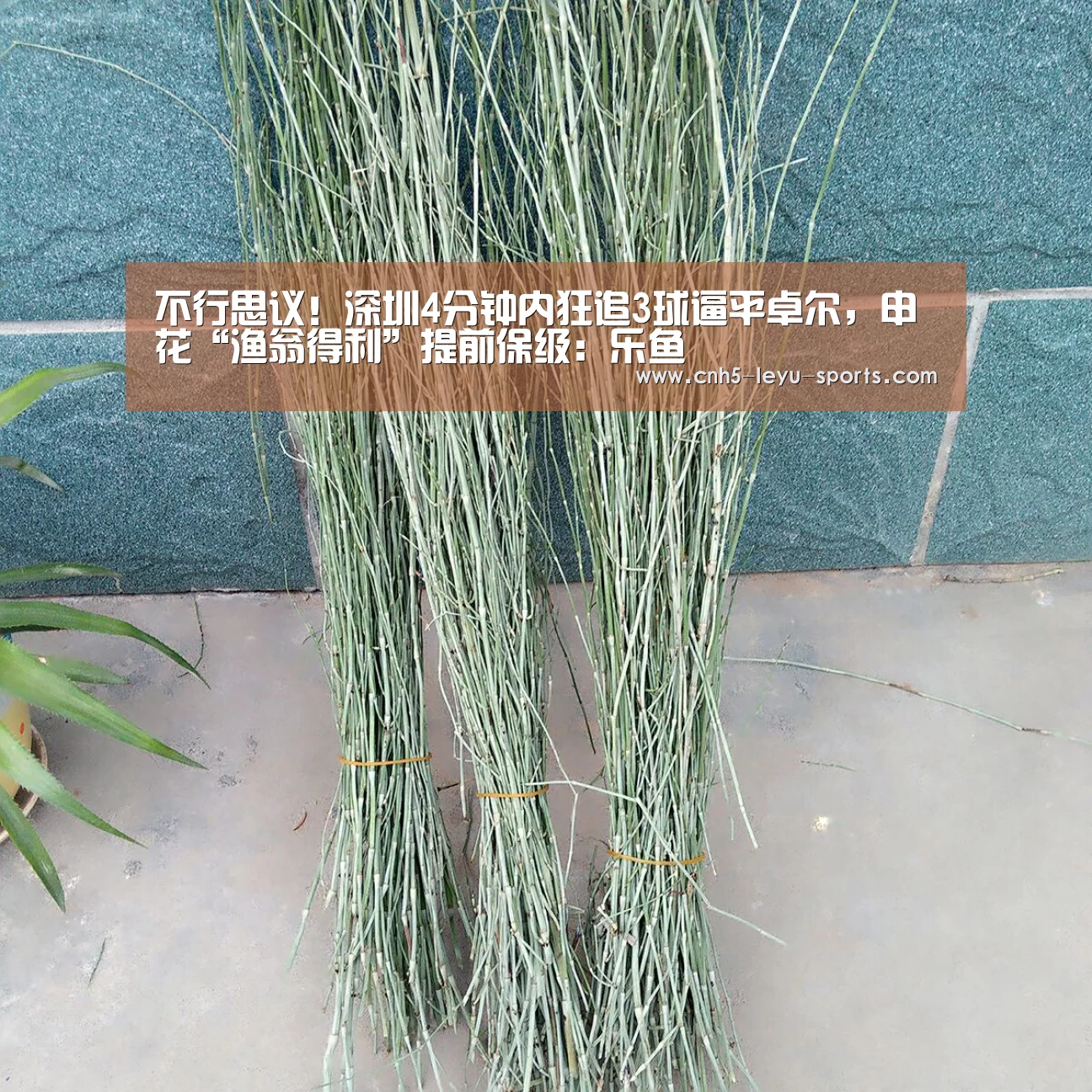 不行思议!深圳4分钟内狂追3球逼平卓尔,申花“渔翁得利”提前保级:乐鱼(图3) 乐鱼体育
