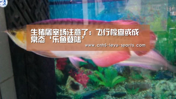 生猪屠宰场注意了:飞行检查或成常态‘乐鱼登陆’(图3) 乐鱼app