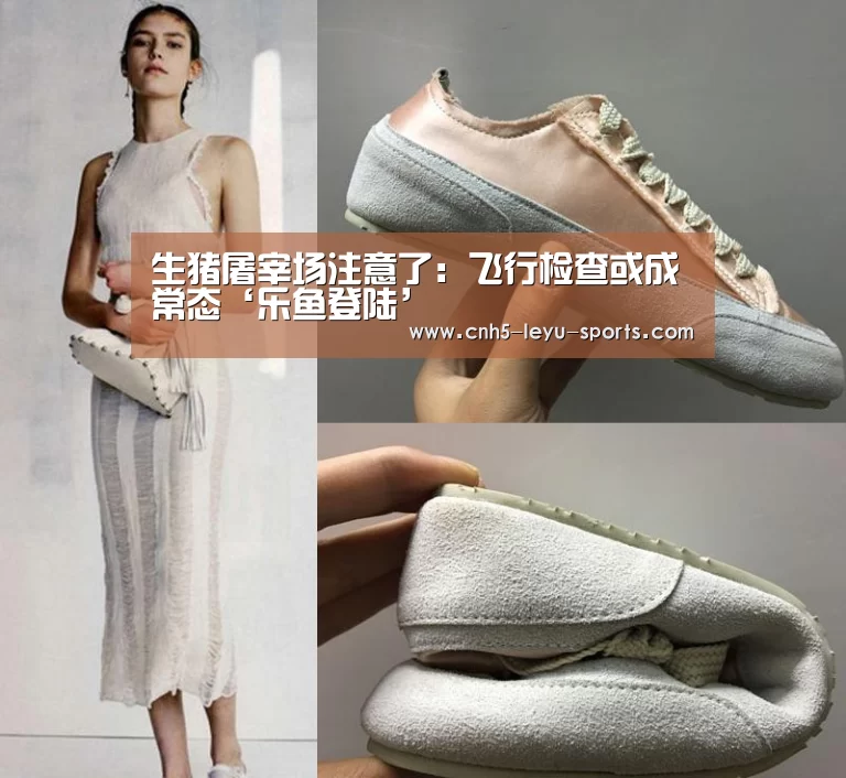 生猪屠宰场注意了:飞行检查或成常态‘乐鱼登陆’(图4) 乐鱼app