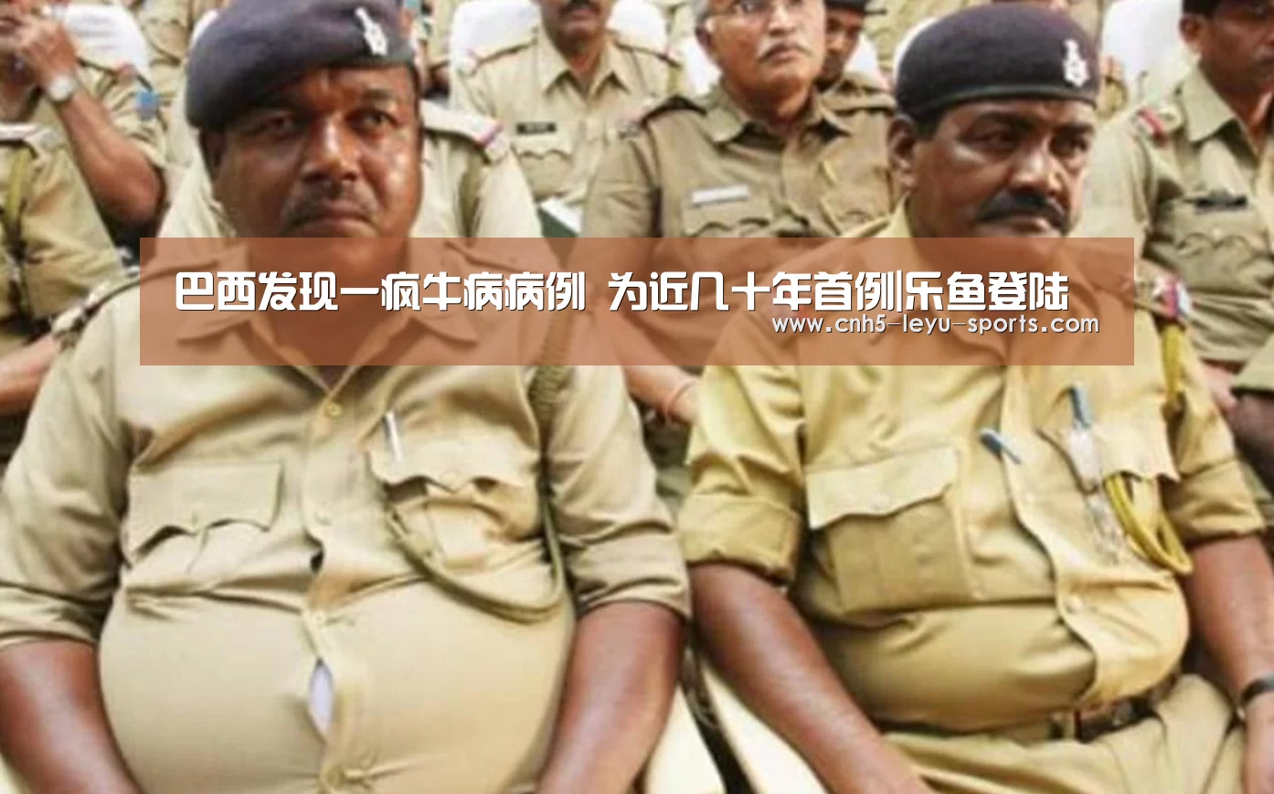 乐鱼
